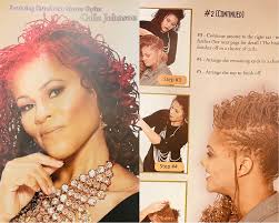 Sisterlocks Style Book