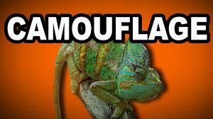 Learn English Words Camouflage Meaning Vocabulary Lesson With Pictures And Examples Youtube