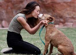Maggie Q Actress And Animal Activist Thrive Maggie Q Maggie Animal Activist
