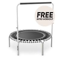 ACON Fit 44in Round Rebounder Fitness Trampoline with Balance Handlebar