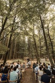 Es gibt orte, die sind zu jeder jahreszeit schön. Trauung In Wald Bei Waldhochzeit Mit Trauredner Und Hochzeitsgasten In Schwabischen Wald Hochzeit Wald Hochzeit Trauung