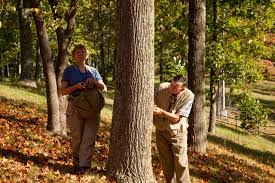 foray-meigs-fall-2009