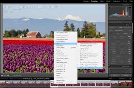 The only thing i miss in lr6 is focus stacking. Quick Guide To Focus Stacking With Lightroom And Photoshop Muench Workshops