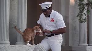 Hightower Bubba Smith Pauses In His Undercover Work To Sweet Talk A Little Kitty And Offer Some Milk In Police Academy 6 Police Academy Police Little Kitty