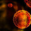 Hdv is one of five known hepatitis viruses: 1