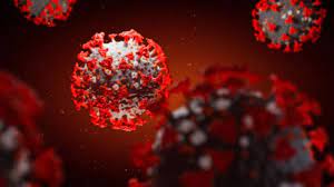 It was first identified in december 2019 in wuhan,. Explained What Are The Kappa And Lambda Variants Of Covid 19 Should You Be Concerned