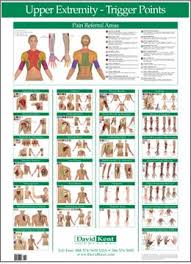 Trigger Point Chart Upper Extremity Trigger Points
