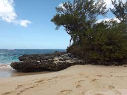 A Lovely Little Beach For A Quick Stop On The Baie Du Cap Road In Mauritius Mauritius Island Mauritius Beautiful Landscapes