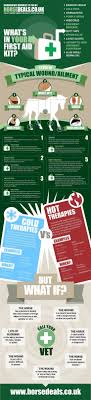 Infographic 23 Horse Health Horse Care Tips Horse Care