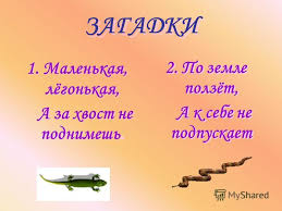 гдз по русскому языку 8 класс разумовская рабочая тетрадь 2015 Gdz Sbornik Zadanij Po Algebre Dlya Provedeniya Ekzamena 9 Klass Kuznecov Prilozhenie How To Plan Home Decor Decals Ads