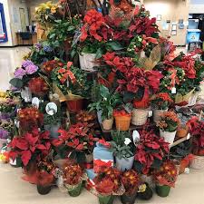 2551 e lohman ave las cruces, nm ( map ). Photos At Albertsons Grocery Store In Chino Hills