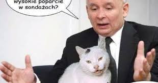 Jarosław kaczyński, prezes prawa i sprawiedliwości przyjedzie do głogowa. To Kiedy Kontrola Kota U Jaroslawa Kaczynskiego Blog Romuald Kalwa