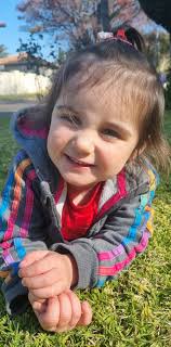 Can someone tell me if its possible to have the stray hair removed from  this picture, any help would be appreciated.