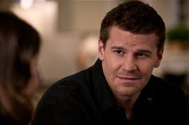 David Boreanaz