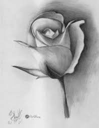 Black And White Pencil Drawings Of Flowers 45 Images Drawn In Pencil Roses Cute Part3 Flower Drawing Pencil Drawings Art Drawings