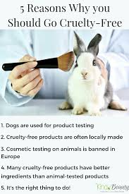 Pin On Cruelty Free Resources