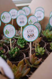 Interesting games & activities for large groups. Succulent Shower Favor Recuerdos Baby Shower Baby Shower Return Gifts Baby Shower Prizes