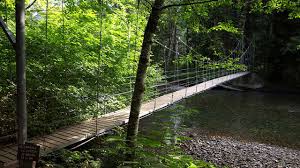 This list is a great place to start if you are looking for vacation or day trip ideas. Grove Of The Patriarchs Trail Packwood Wa Roadtrippers