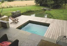 Bien Choisir La Taille De Sa Petite Piscine En Bois Ou Beton Cote Maison