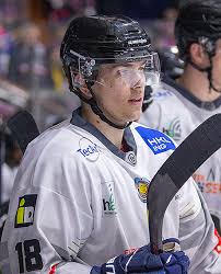 EISHOCKEY.INFO News zum Thema Hammer Eisbären