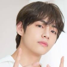 Bts V Wiki Net Worth Dating Girlfriend Wife Bio Age