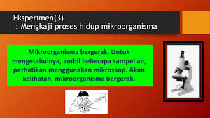 Kebanyakan mikroorganisma tidak boleh dilihat dengan mata kasar. Video Pdpr Sains Tahun 6 Mikroorganisma 2 Youtube