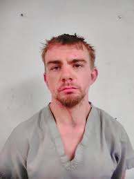 Ethan Walls, 25, of Delaware was arrested in Delaware