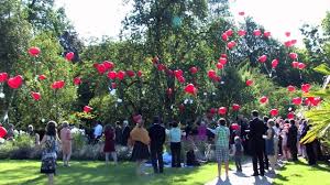 This cafe provides tasty pasta. Www Lookall Tv Cafe Im Botanischen Garten Menzinger Strasse 65a 80638 Munchen Youtube