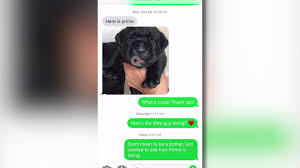 Maybe you would like to learn more about one of these? Craigslist Puppy Ad Scams People Out Of Thousands Suspect May Be From Thomasville Myfox8 Com