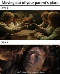 31 Of The Funniest Lord Of The Rings Memes In All Of Middle Earth Lord Of The Rings Lotr Funny Middle Earth