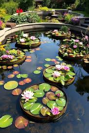 Image result for garden pond ideas