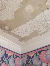 Advise Please Severe Paint Chipping Peeling On Bathroom Ceiling Bathroom Ceiling Diy Projects
