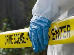 Human remains found along Gordon Town Road, St Andrew | News ...