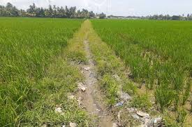 Pengembang, kata dia, memperhatikan kualitas udara serta memberikan fasilitas untuk mendukung penghuni menjalankan gaya hidup sehat. Petani Karawang Mengeluh Kekurangan Suplai Air Ke Sawah Wabup Aep Akibat Pendangkalan Irigasi