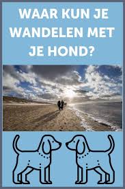 Pin Op Vakantie En Uitjes In Nederland