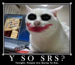 Serious Cat Joker Serious Cat Cat Quotes Funny Funny Cats