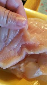 Real chicken or not? 😳😬🙈🤷&zwj;♀️ #4upage #fourthofjuly #foryou #fyp  #tutorial #fakechicken #labchicken #walmart #trending #chickensalad  #potluck #fourthofjulyrecipe #manmademeat #manmade #wouldyourather ...