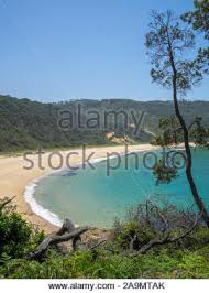 הגעת לדף זה כי הוא קרוב לוודאי מחפש: Steamers Beach Turquoise Waters Stock Photo Alamy