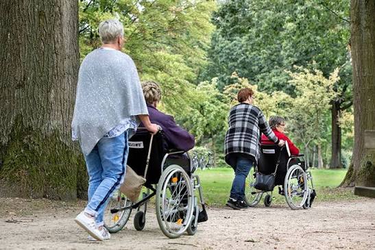 🌳✨ Wandelen met ouderen naar het Oosterpark! ✨🌳 Ben jij een echte  wandelaar? En wil jij onze ouderen van het Dr Sarphatihuis op 22 augustus  meenemen voor een wandeling naar het mooie