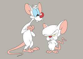 We did not find results for: Pinky And The Brain Vector Superawesomevectors