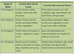 Fishing Central Productive Cold Water Bass Tactics And Lures World Fishing Network Fishing Tips Fish Fall Bass Fishing