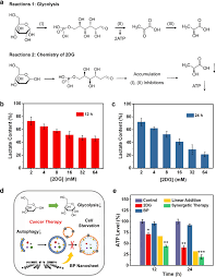 Setting the bar as the definitive tower defense game, defense grid 2 introduces new worlds and threats to test your tower placement strategies. Developing New Cancer Nanomedicines By Repurposing Old Drugs Yang 2020 Angewandte Chemie Wiley Online Library