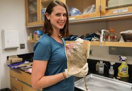 VASG fellow aims to 'elevate the skate'