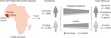 Ebola is an infectious viral disease that affects humans and nonhuman primates, such as monkeys, gorillas and chimpanzees. Understanding Long Term Effects Of Ebola Virus Disease Nature Medicine