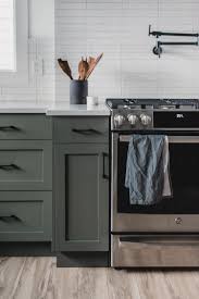 Modern Olive Green Kitchen Before After Lemon Thistle Kitchen Renovation Kitchen Design Kitchen Trends