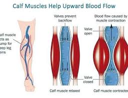 Poor Circulation Out Of The Feet Rochmn Http Ow Ly Esra304pa8t Nighttime Leg Cramps Venous Insufficiency Leg Cramps