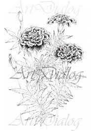 In the place of the outline, add in the petals of the flower. Marigold Art Sketch Tagetes October Birth Flower Line Etsy In 2021 Marigold Art Flower Drawing October Birth Flower