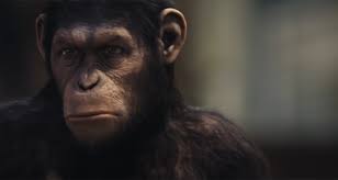 Programme Tv De Ce Soir Vendredi 15 Janvier 2021 La Chanson Secrete Sur Tf1 Il Etait Une Fois Thalassa Sur France 3 La Planete Des Singes Les Origines Sur C8 Toutelatele