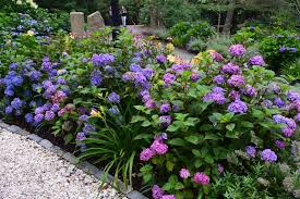 Check spelling or type a new query. Inspiring Ideas To Plant A Garden For Year Round Color Hgtv Growing Hydrangeas Hydrangea Varieties Bloomstruck Hydrangea