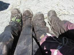 Hiking The West Coast Trail Canada